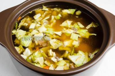 Картофельный суп с капустой и грибами 